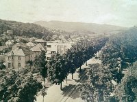 Mirogojska cesta 1950. godine
